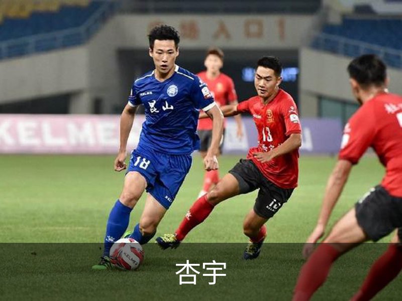 杏宇简介